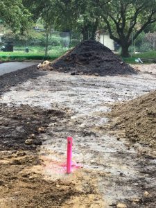 Foxhall 2020-09-09 13.01.03 copy