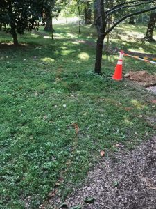 Foxhall 2020-09-23 10.26.05 copy