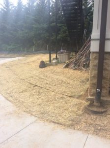 GBCC 2017-05-23 17.48.16 copy