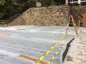 Horizon 2019-08-28 15.44.26 copy