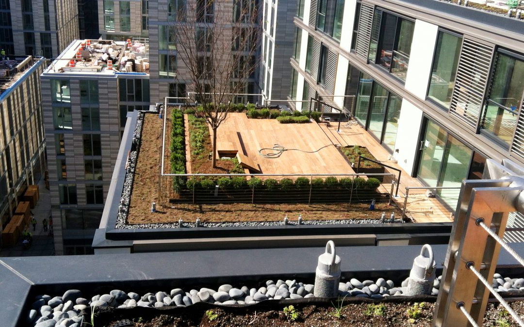 Capitol Green Roofs