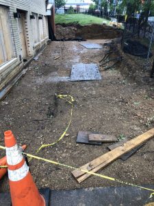 IONA 2020-05-22 08.19.17 copy