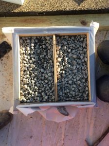 JFKC Trail 2018-12-19 15.13.22