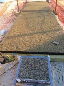 JFKC Trail 2018-12-19 15.43.26