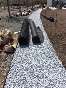 JFKC Trail 2019-04-10 13.47.15 copy