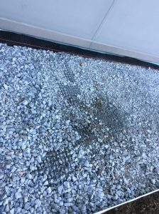 JFKC Trail 2019-04-17 08.51.56 copy