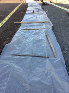 JFKC Trail 2019-04-18 18.19.03 copy