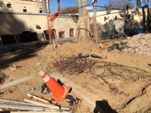 Lowell 2016-11-18 12.53.55 copy