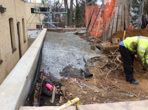 Lowell 2017-01-05 09.15.24