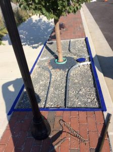 Main St 2019-10-01 16.00.50 copy