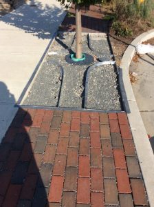 Main St 2019-10-01 16.01.09 copy