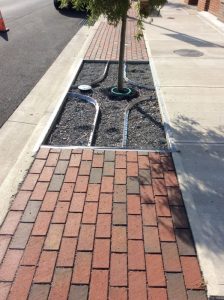 Main St 2019-10-01 16.01.50 copy