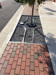 Main St 2019-10-01 16.01.53 copy
