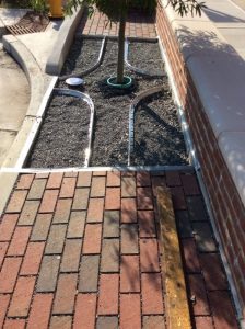 Main St 2019-10-01 16.02.13 copy