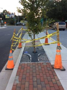 Main St 2019-10-02 07.05.28 copy