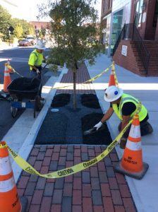 Main St 2019-10-04 12.43.21 copy
