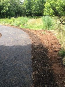 Manassas 2019-06-25 10.42.04 copy