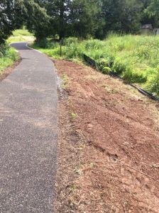 Manassas 2019-06-25 10.43.14 copy