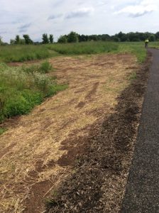 Manassas 2019-06-25 10.44.02 copy