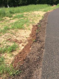 Manassas 2019-06-25 10.45.31 copy