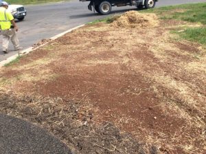Manassas 2019-06-25 10.48.27 copy