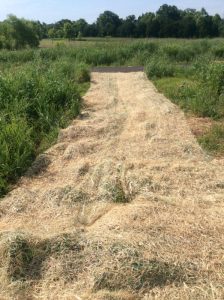 Manassas 2019-06-28 09.55.30 copy