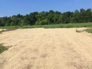 Manassas 2019-06-28 09.55.37 copy
