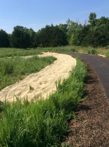 Manassas 2019-06-28 09.57.43 copy