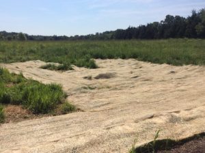 Manassas 2019-06-28 09.58.07 copy