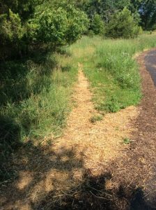 Manassas 2019-06-28 09.58.55 copy