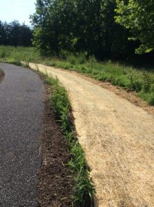 Manassas 2019-06-28 09.59.47 copy