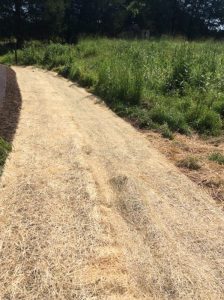 Manassas 2019-06-28 10.00.10 copy