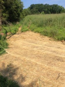 Manassas 2019-06-28 10.00.40 copy