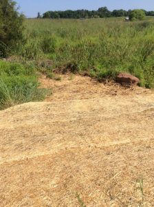 Manassas 2019-06-28 10.00.43 copy