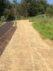 Manassas 2019-06-28 10.01.10 copy