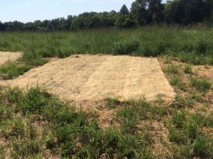 Manassas 2019-06-28 10.01.55 copy