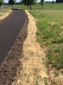 Manassas 2019-06-28 10.02.19 copy