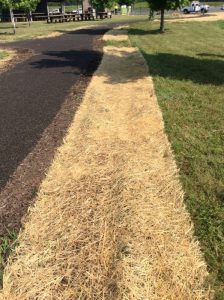 Manassas 2019-06-28 10.03.00 copy