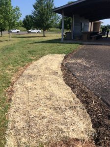 Manassas 2019-06-28 10.03.30 copy