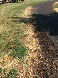 Manassas 2019-06-28 10.04.20 copy