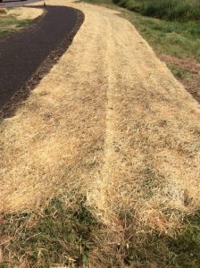 Manassas 2019-06-28 10.04.39 copy