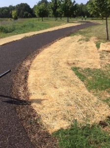 Manassas 2019-06-28 10.05.19 copy