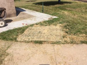Manassas 2019-06-28 10.05.40 copy