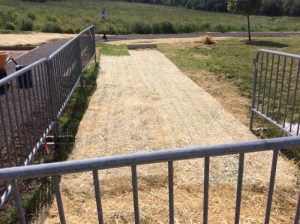 Manassas 2019-06-28 10.05.47 copy