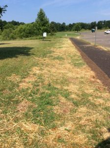 Manassas 2019-06-28 10.06.47 copy