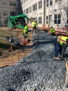 Milestone 2019-04-01 10.20.41 copy