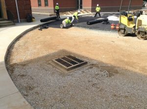 Murch ES 2018-06-14 09.53.51 copy