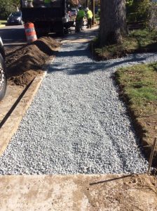 NZI 2018-10-30 13.03.39