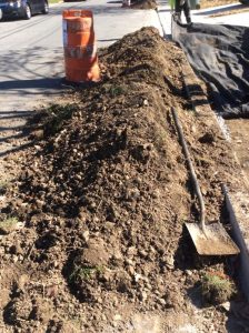 NZI 2018-10-30 13.04.27