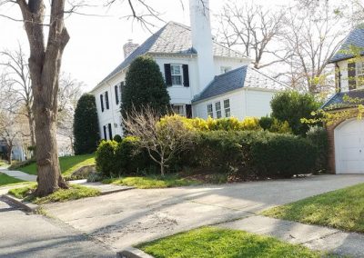 Residential Sidewalk – Washington, DC